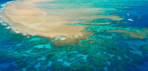 Rockhampton Leads Innovative Project to Protect the Reef