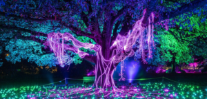 RADIANCE BY LASERVISION ILLUMINATES ROCKHAMPTON