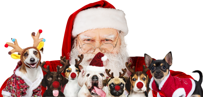 CAPRICORN ANIMAL AID: Santa Photos for Pets and Humans Return by Popular Demand!