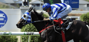 Master Jamie: Rockhampton's Racing Maverick