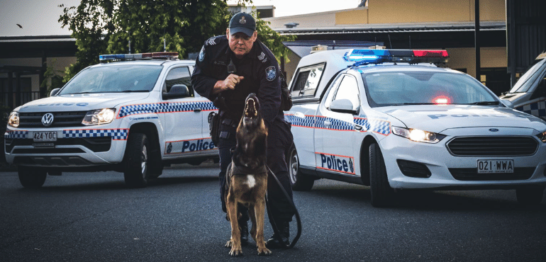 A Paws for Retirement: PD Sacco Bids Farewell to 7 Years of Stellar Service