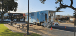 Travelling Aid for Locals: Services Australia's Desert Rose