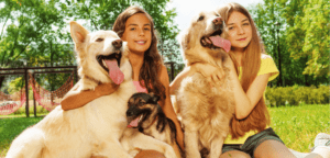 How Many Dogs Can You Own in Rockhampton?