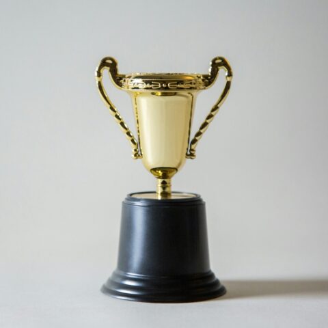 https://unsplash.com/photos/yellow-and-white-trophy-_XTY6lD8jgM