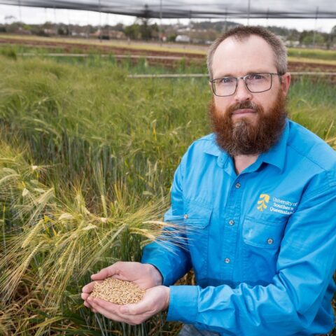 UniSQ Researcher Dr Noel Knight Investigates Barley Seed Disease
